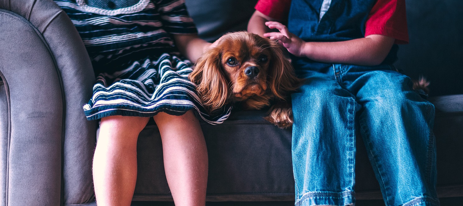zwierzę do domu z dziećmi to nie lada wyzwanie