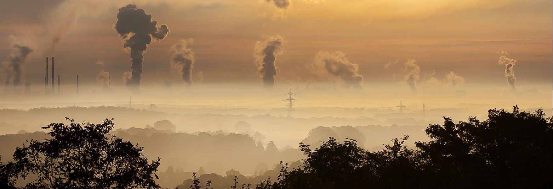 jak radzić sobie ze smogiem