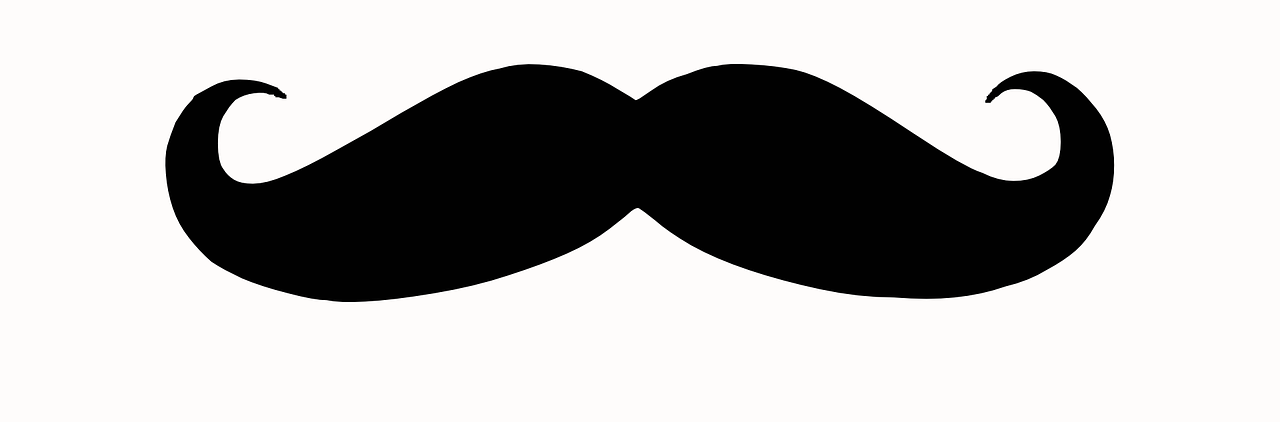 Movember czyli Wąstopad