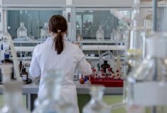 RDW-CV - niski i wysoki wynik morfologii krwi