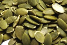 fosfor w pestkach dyni