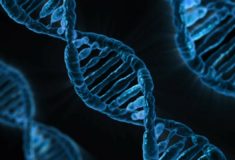 dna