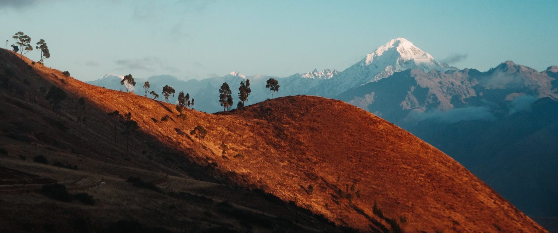 miechunka jadalna