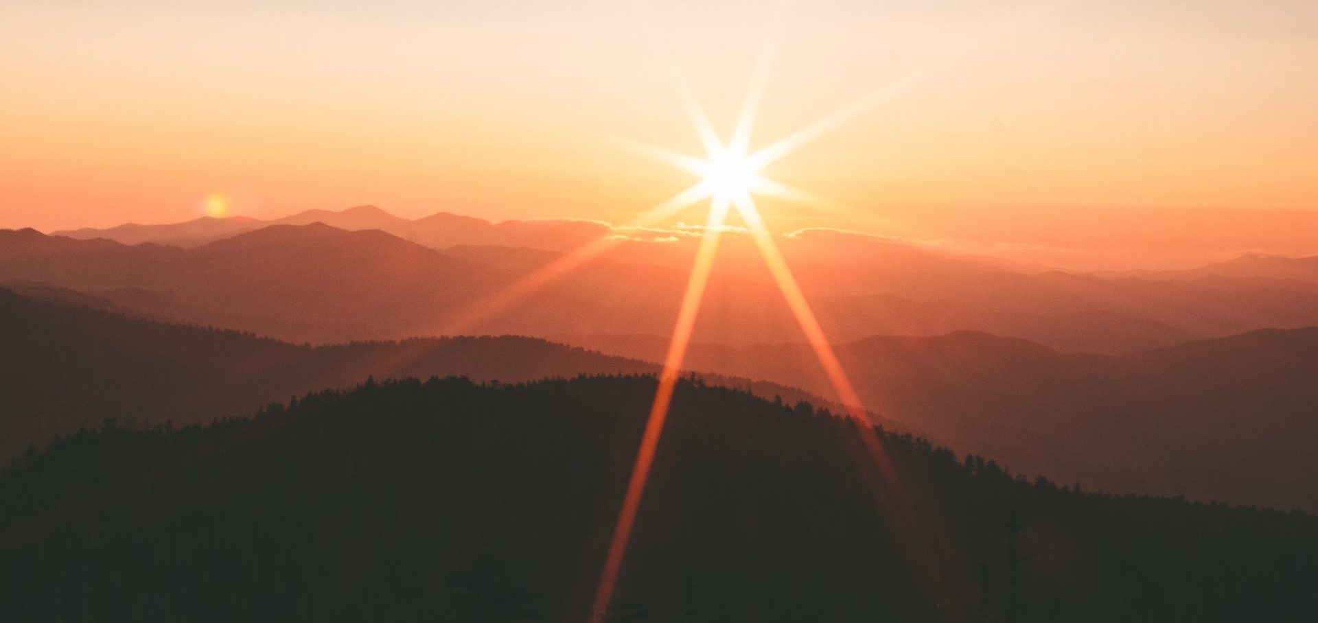 kichanie na słońcu