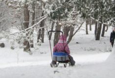 dziecko na feriach zimowych