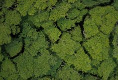 Koncentrator tlenowy - co to jest, jak działa i jak długo go stosować?