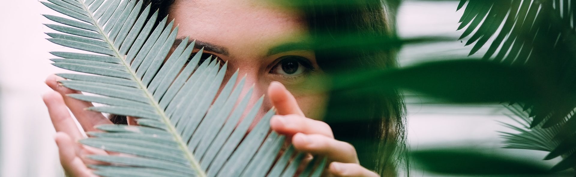 rośliny oczyszczające powietrze