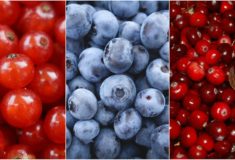 superfood