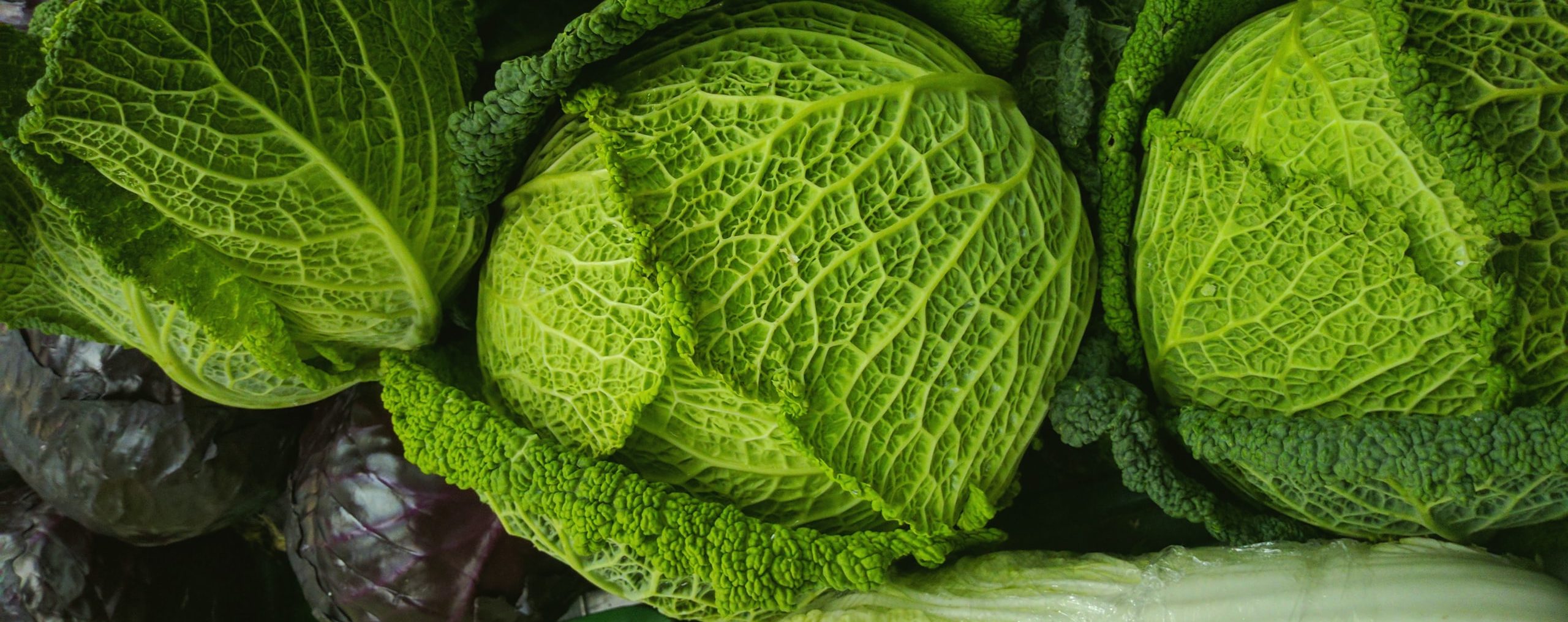 dieta kapuściana
