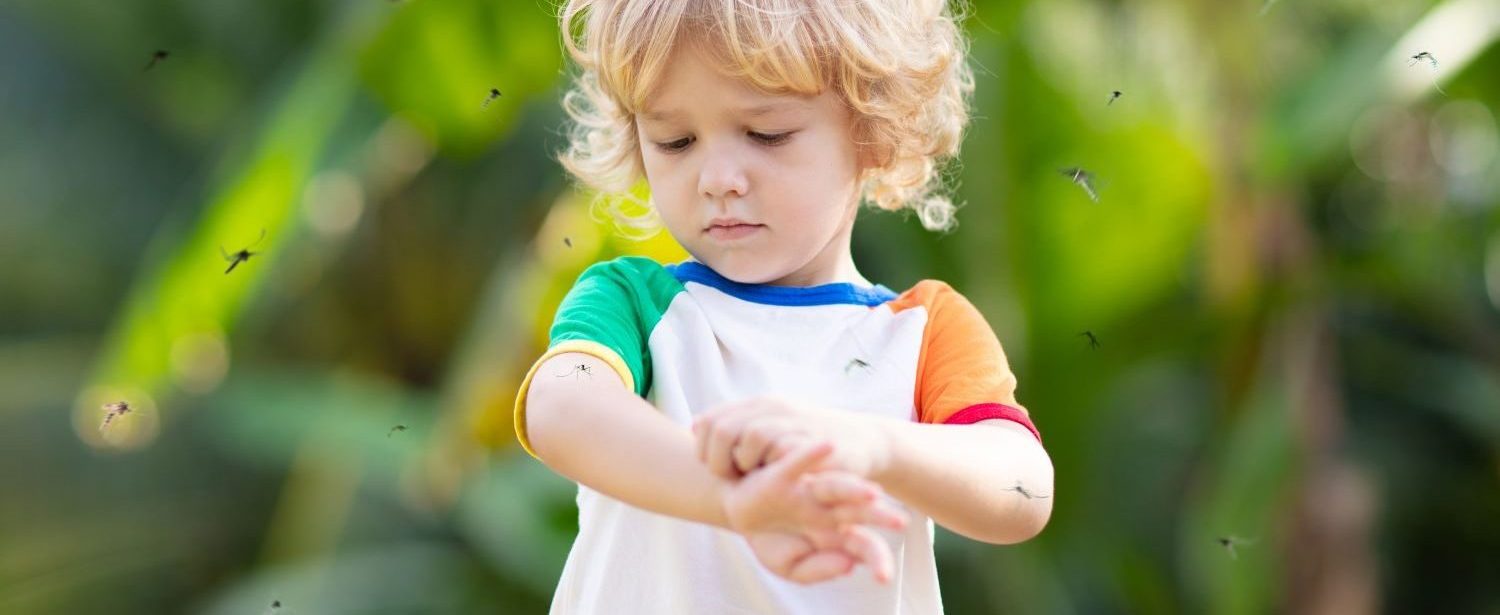 pierwsza pomoc po ukąszeniu i użądleniu owada