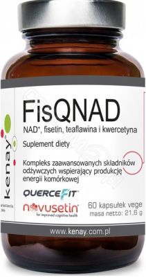 FisQNAD NAD+ fisetin, teaflawina i kwercetyna x 60 kaps (Kenay)