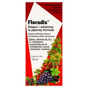 Floradix żelazo i witaminy tonik 250 ml