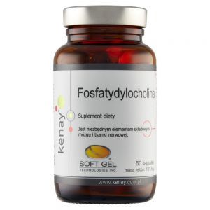 Fosfatydylocholina x 60 kaps (Kenay)