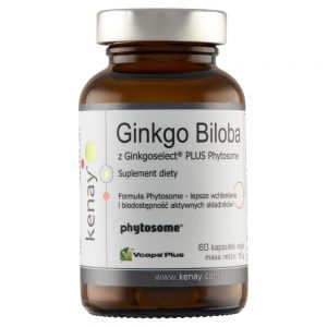 Ginkgo Biloba z Ginkgoselect Phytosome x 60 kaps (Kenay)