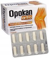 Opokan artro x 60 kaps