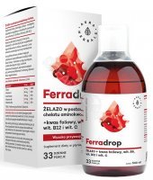 Aura Herbals Ferradrop żelazo w płynie + kwas foliowy 500 ml