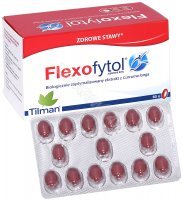 Flexofytol x  60 kaps