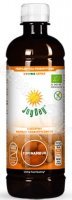 Joy Day  koncentrat probiotyczny - Topinambur 500 ml